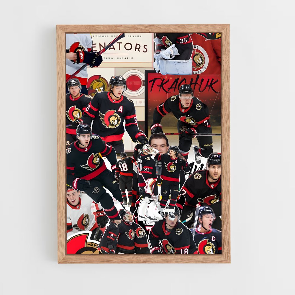 Poster L'Héritage des Sénateurs – affiche Hockey sur glace (vue 4)